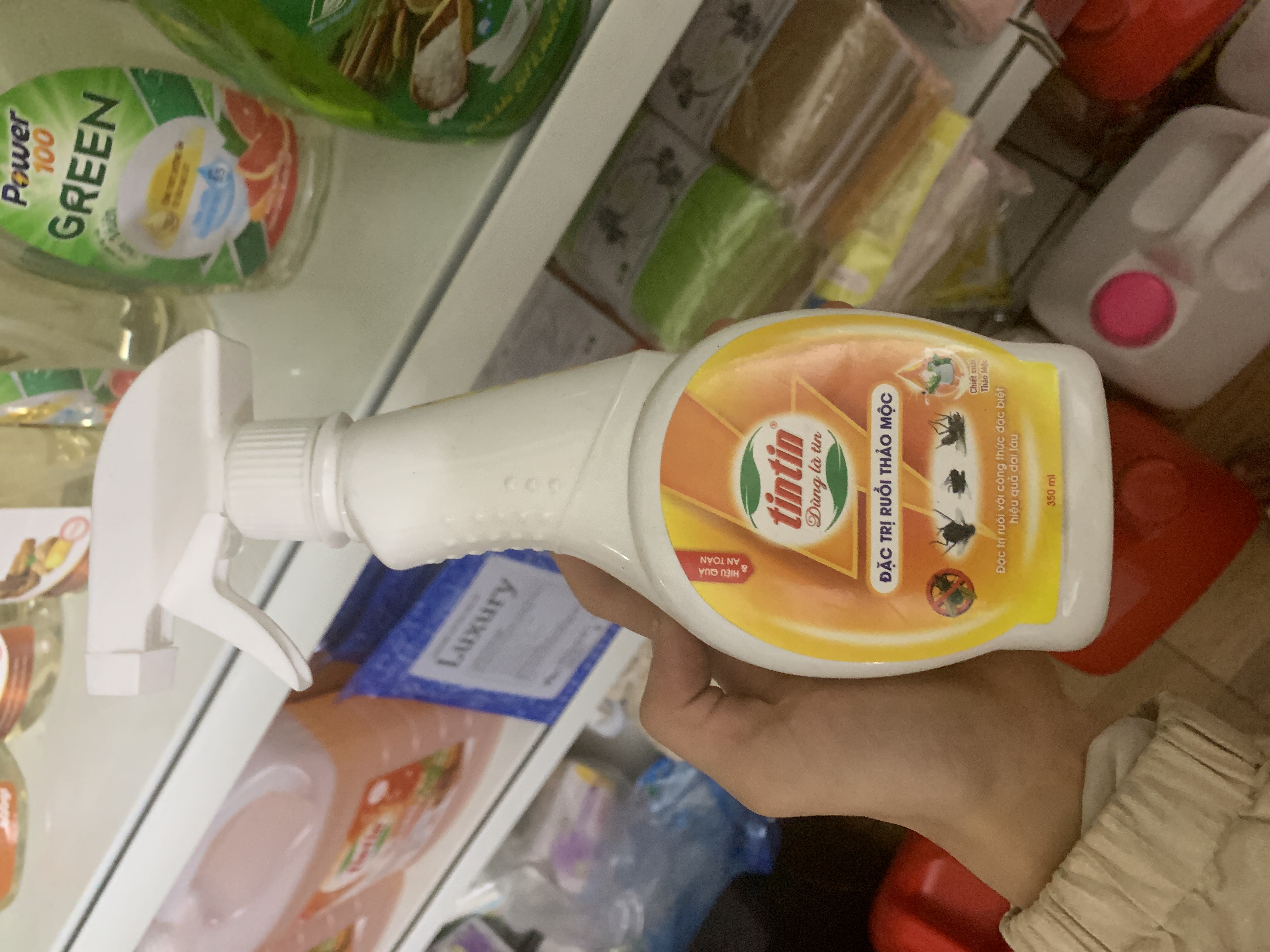 Đặt chị ruồi thảo mộc